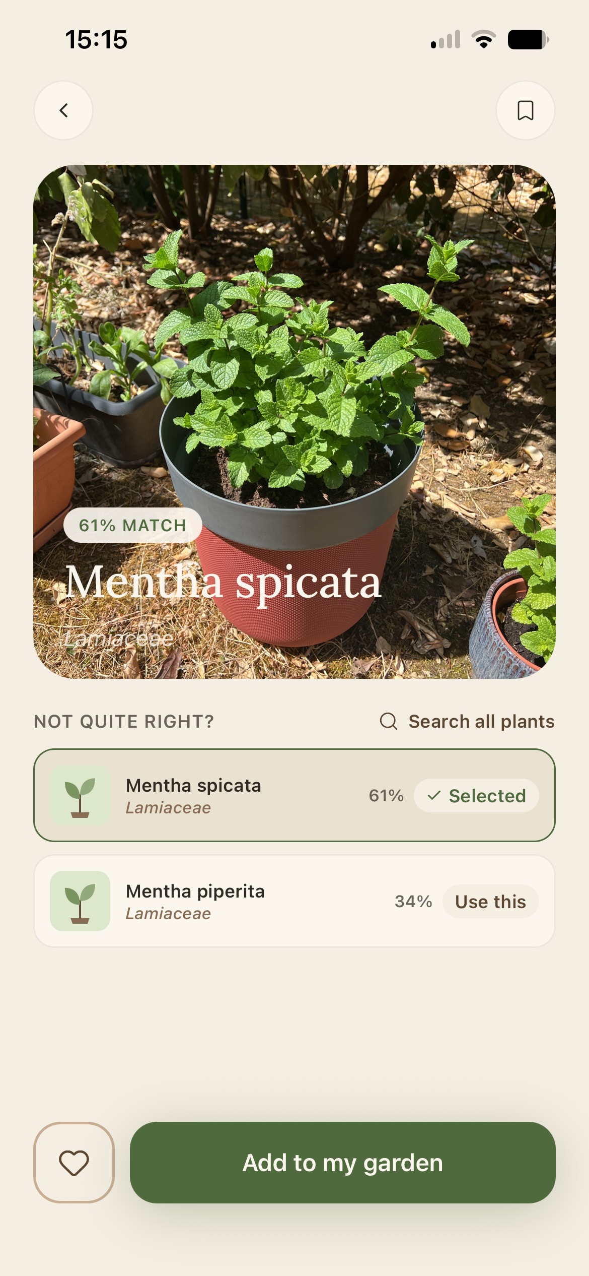 Identification result screen showing a 61% match for Mentha spicata